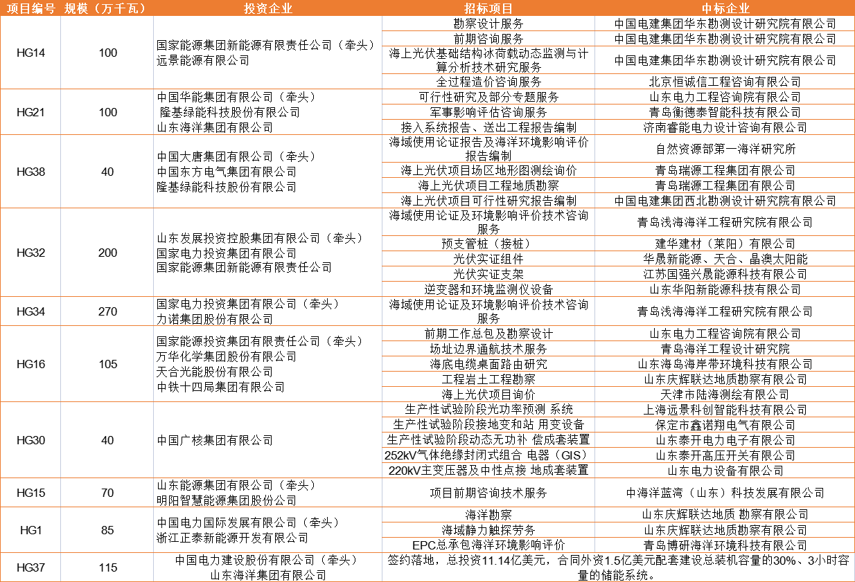 地面电站项目什么是地面电站项目？的最新报道(图2)