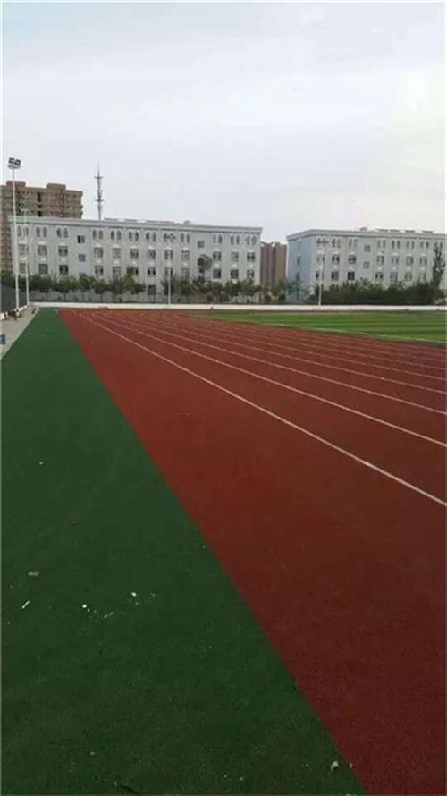 广东奥林体育设施有限公司