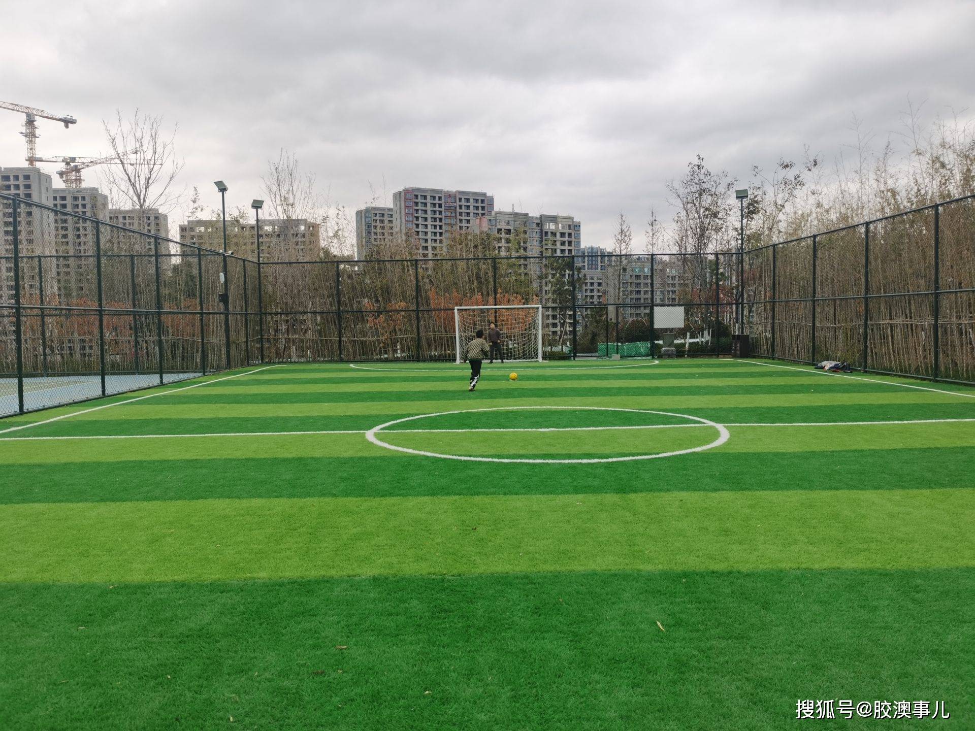 齐鲁康体公园球场已绽放