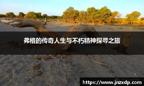 im电竞平台官网